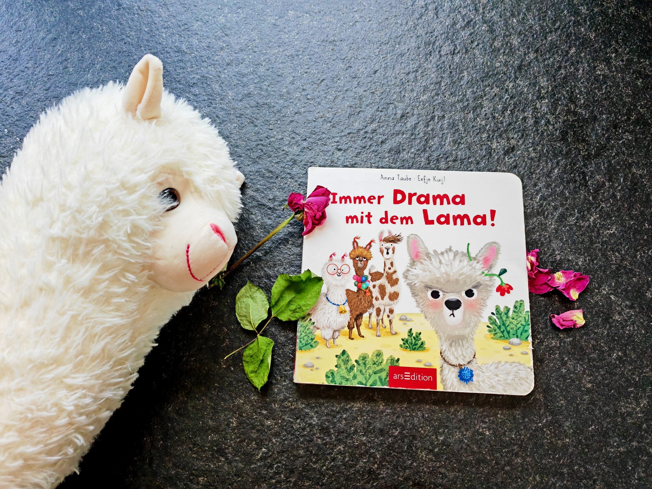 Immer Drama mit dem Lama von Anna Taube ist ein Pappbilderbuch über die Autonomiephase. Eine Rezension aus Elternsicht.