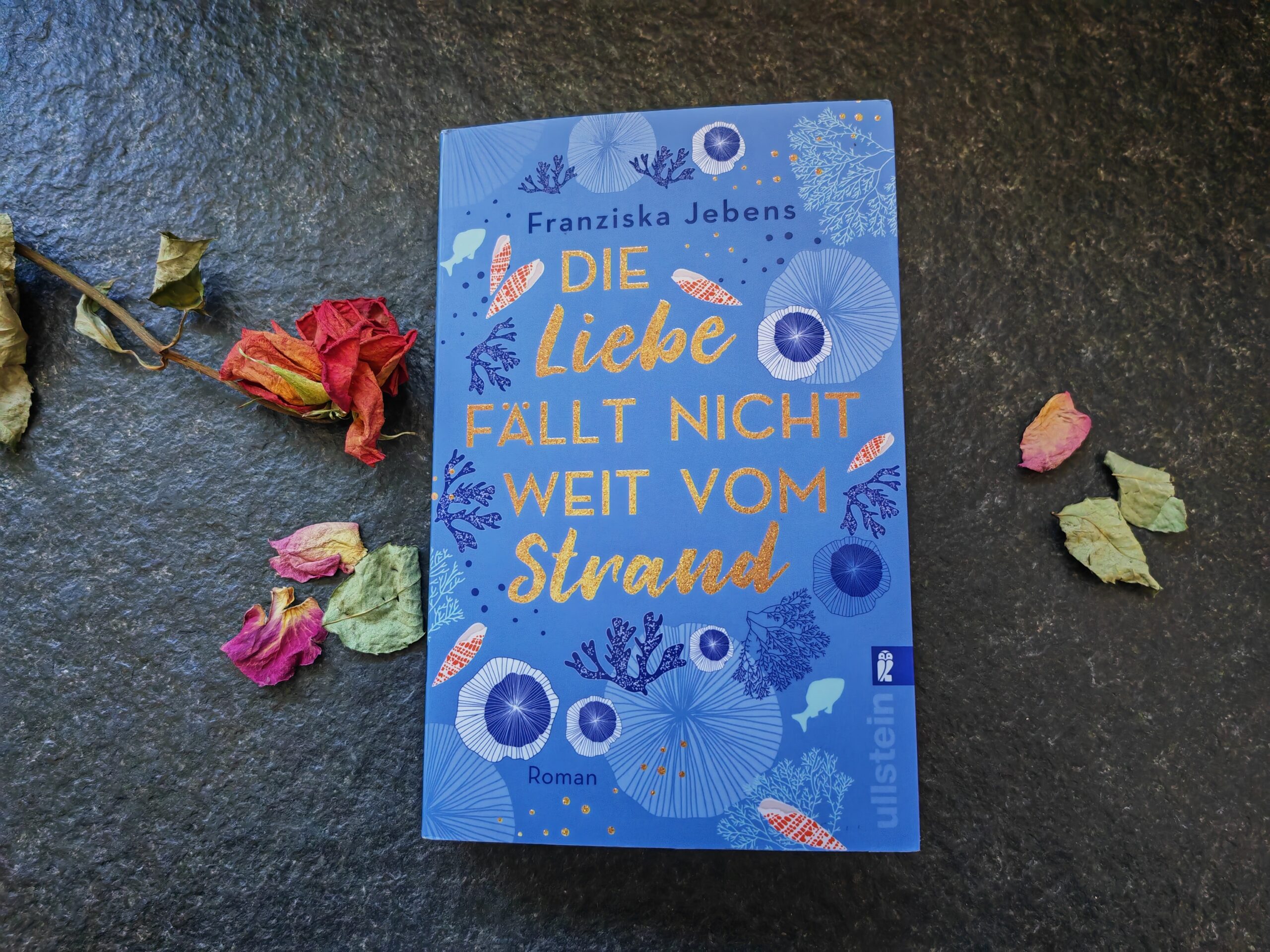 "Die Liebe fällt nicht weit vom Strand" von Franziska Jebens ist ein kurzweiliger Liebesroman an den Dünen Dänemarks. Auf Julies-Buecherliebe.de findest du eine Rezension zu dieser Romance