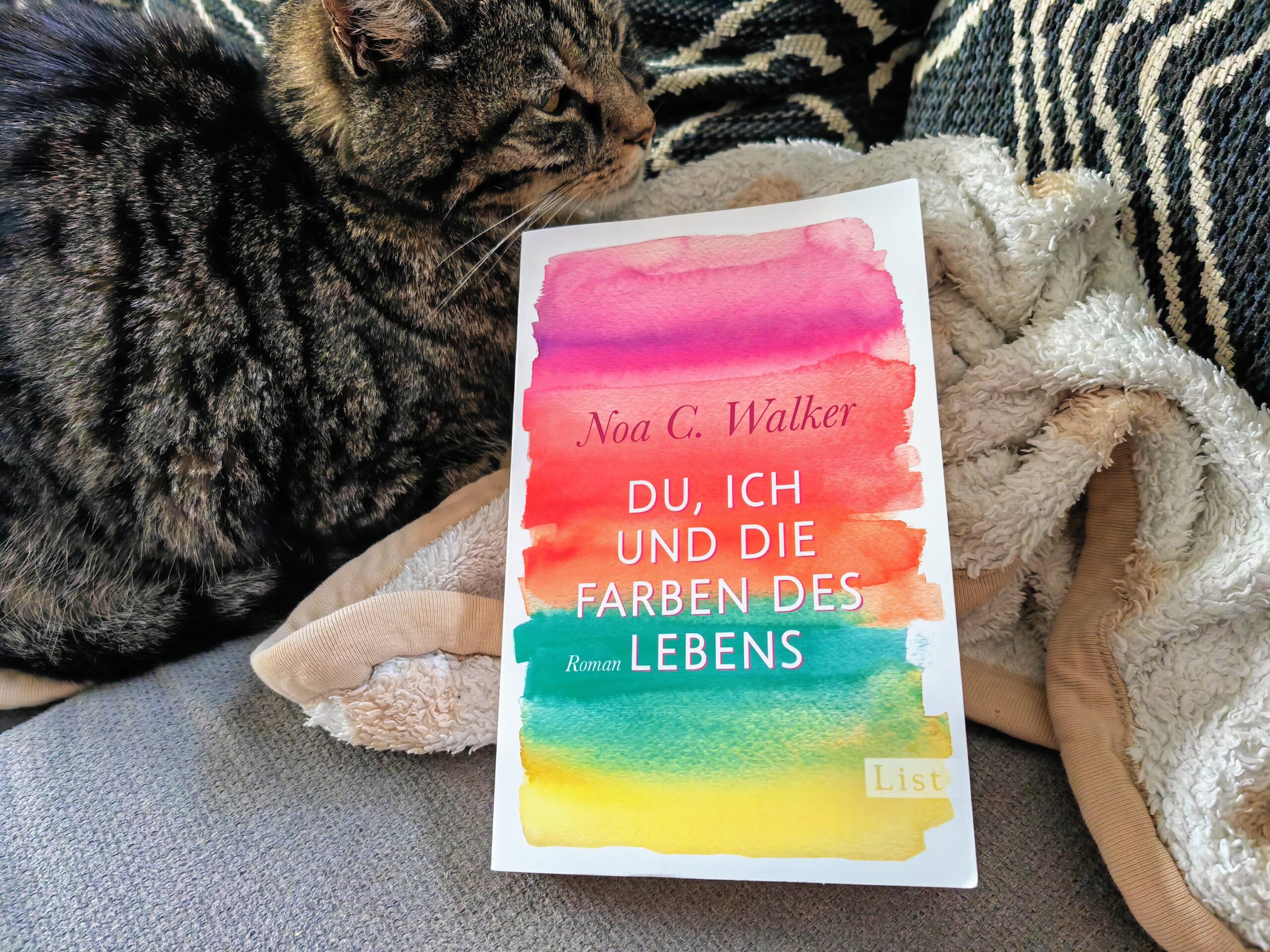 Noa C. Walker: Du, ich und die Farben des Lebens - eine emotionale Geschichte über die Liebe, Krebs und endgültige Abschiede.